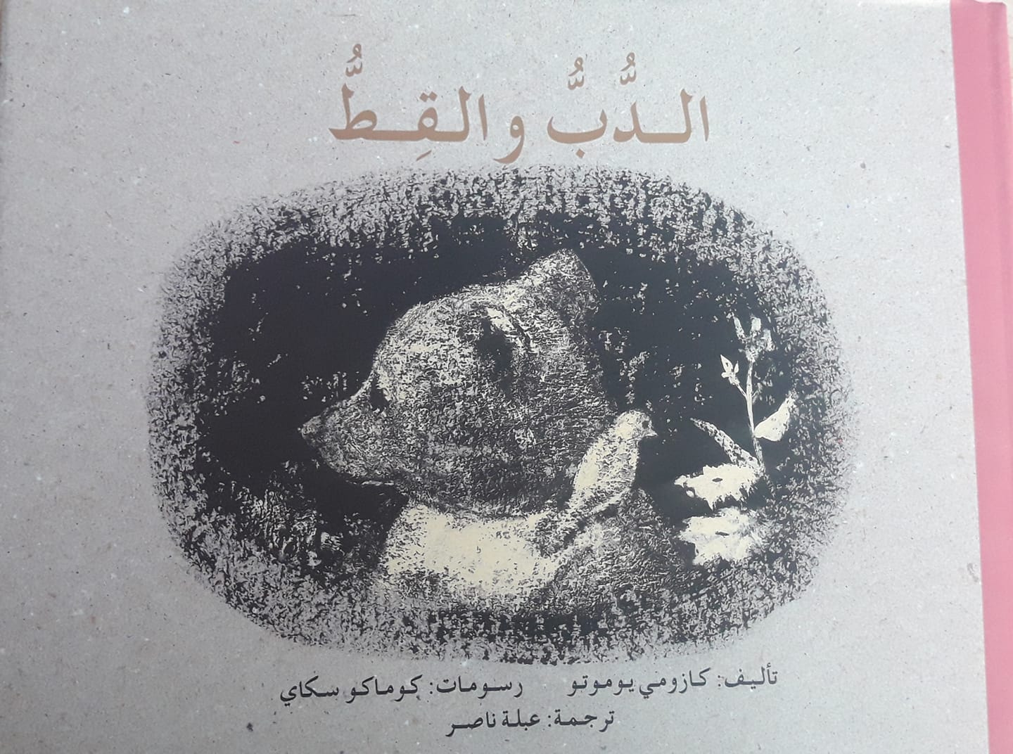 قصة الدب والقط